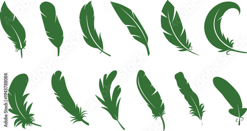 feather icon illustration set with decorative bird feather shapes. feather silhouette 