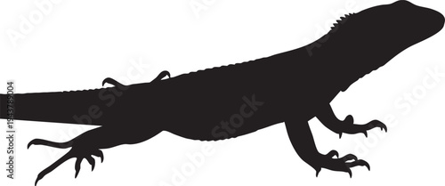 Black silhouette of lizard with spiky back and sharp claws on white background reptile