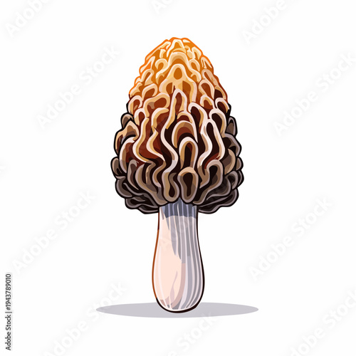 Exquisite Morel Mushroom Illustration - A Detailed Close-Up of a Delicious Wild Edible Fungi, Perfect for Culinary and Nature Enthusiasts Alike