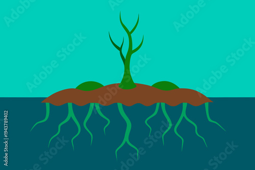 Plant With Visible Roots in Soil and Water seedling