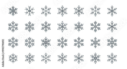 Collection of Various Snowflakes with Unique Patterns.