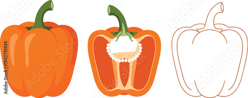 PrintOrange Bell Pepper Whole Half and Outline Illustration with Seeds and Stem Isolated on White Background Vegetable Vector Set