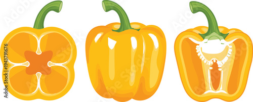 Yellow Bell Pepper Whole Half and Cross Section Illustration with Seeds and Stem Isolated on White Background Vegetable Vector Set