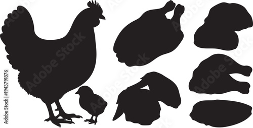 Black silhouettes of chickens and meat cuts on white background