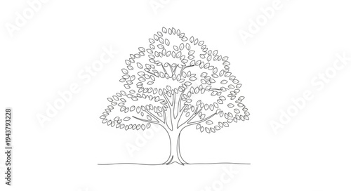 Detailed Illustration of a Large Tree with Dense Foliage.