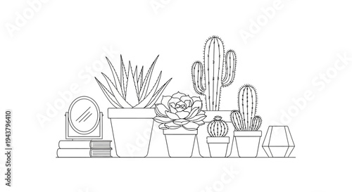 Indoor Potted Cactus and Succulent Plants Line Art Illustration Set, Minimal Home Decor Houseplants Vector Collection