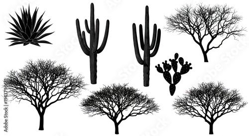 Desert Flora Silhouettes: Cacti, Agave, Leafless Trees