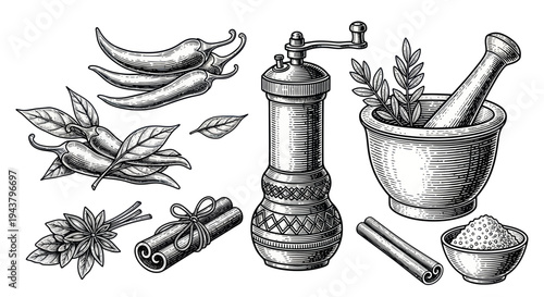 Spices and Herbs: Chili Peppers, Cinnamon, Star Anise, Mortar and Pestle, Grinder