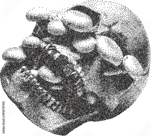 Skull retro y2k stipple design skeleton halftone brutalist urban vector png with clear background, bone 2000s photocopy grunge tattoo gen z effect