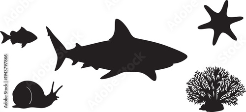 Black silhouettes of shark fish starfish snail and coral on white background