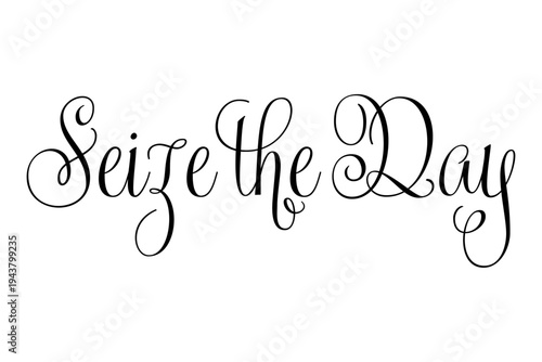 Seize the Day - Seize the Day words on white background, calligraphy, handwritten, vector
