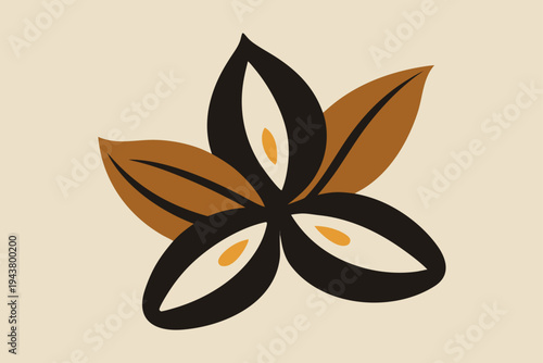 Star Anise Spice Pod with Seeds herb seasoning