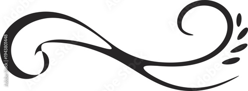 Black swirly decorative vector flourish design element