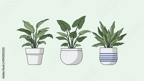 Set of three beautiful green house plants in different ceramic pots arranged in a row against a light green background.