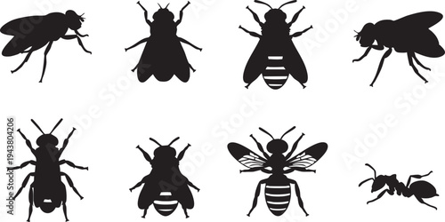 Eight black insect silhouettes on white background bees