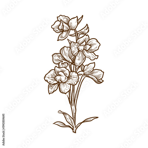 Detailed Vintage Handdrawn Flower Branch Botanical Floral Illustration Artwork