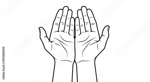 Open empty hands held upwards in a gesture of giving or receiving isolated on white