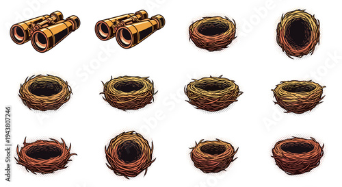 Collection of bird nests and vintage binoculars isolated on white background