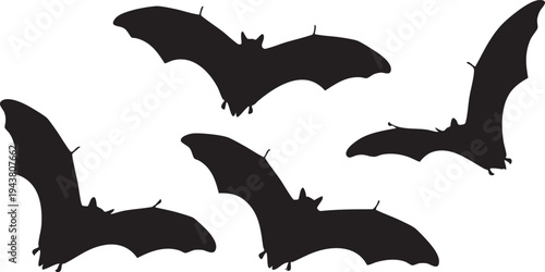 Four black bat silhouettes flying on white background bats flying bats black bats