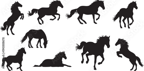 Nine black horse silhouettes in various poses on white background black horses equine