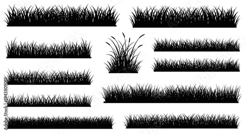 Collection of black silhouette grass elements for decorative design and natural