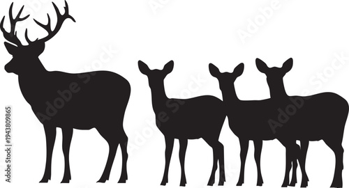 Silhouette of four deer one with antlers standing on white background silhouettes black