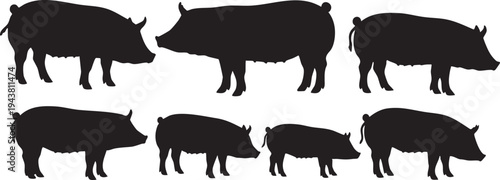 Silhouettes of six pigs in two rows on white background pig silhouettes black pigs animal silhouettes