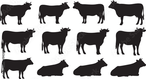 Silhouettes of twelve cows in various poses and orientations cow silhouettes black cows
