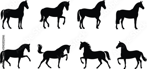 Horse silhouette vector set, running and standing horse poses collection, black equine animal clipart, farm wildlife illustration bundle
