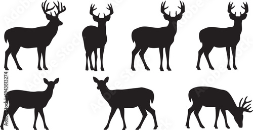 Six black deer silhouettes on white background animals
