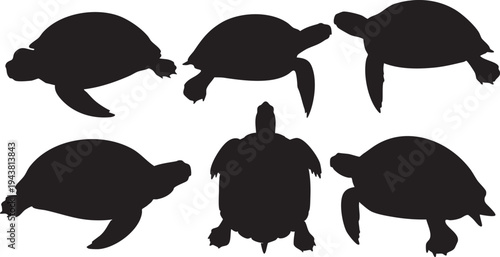 Six black turtle silhouettes on white background turtles