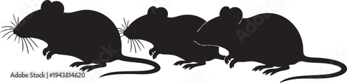 Three black silhouette mice walking in a line silhouettes white background rodents