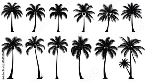 Palm Tree Silhouettes Collection – Tropical Summer Nature Vector Set