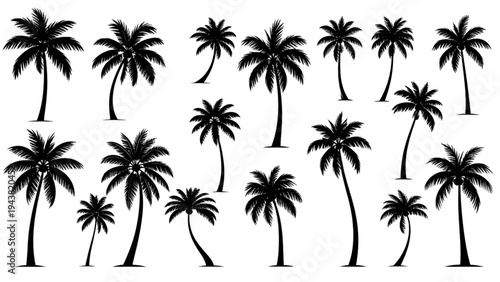 Palm Tree Silhouettes Collection – Tropical Summer Nature Vector Set