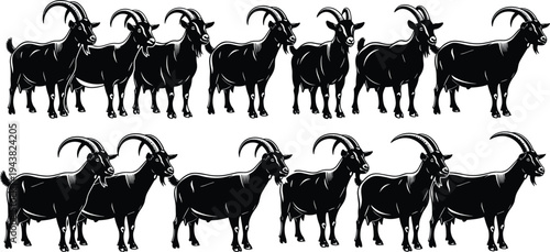 A large herd of horned goats standing in two rows, black and white vector silhouette isolated on wh