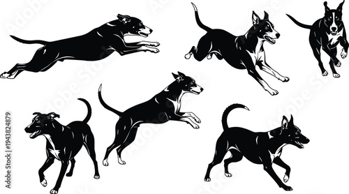 Set of Black and White Vector Silhouettes Showing Various Dogs Running Jumping and Playing in Active Motion for Pet Care Design