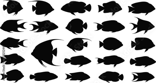 Tropical fish silhouette collection with various sea animal shapes vector illustration isolated on white background for aquarium and underwater design