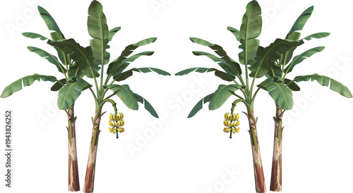 Digital illustration of symmetrical banana trees with large green leaves and hanging fruit bunches vibrant tropical artwork design pattern