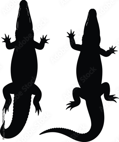 Crocodile silhouettes set, black and white vector illustration of reptile predator isolated on white wildlife animal background