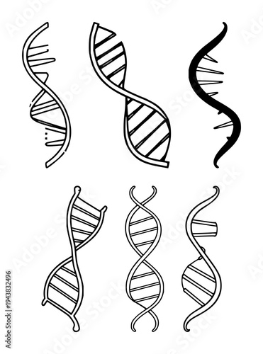 DNA double helix set with sleek modern lines on white background featuring vector, geometric, icon with biotechnology and illustration