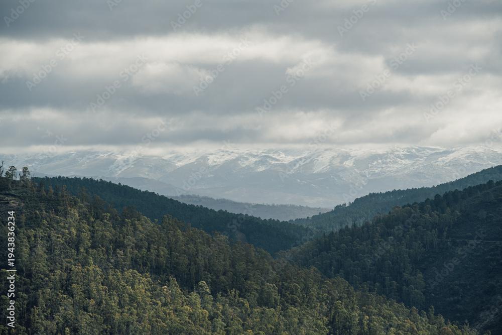 Obraz premium Mountain valley landscape with forest hills and snowy mountains