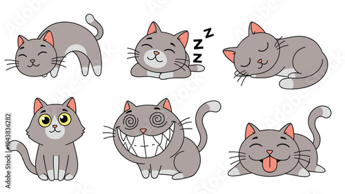 Series of grey cat illustrations showing the animal in different poses like stretching, sleeping, and making funny faces in a cartoon style.