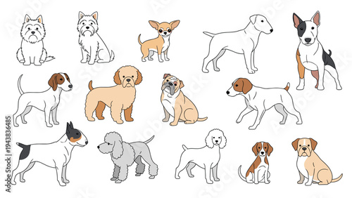 Extensive collection of dog breed line drawings featuring breeds like bulldogs, poodles, chihuahuas, and terriers in profile view for art.