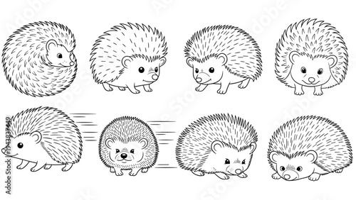 Collection of small hedgehogs drawn in a simple black and white line art style shown in various poses and movements for botanical illustrations.