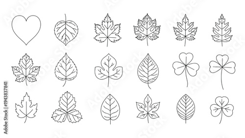 Diverse collection of leaf shapes and patterns shown in a clean black and white line art style for botanical design and nature illustrations.