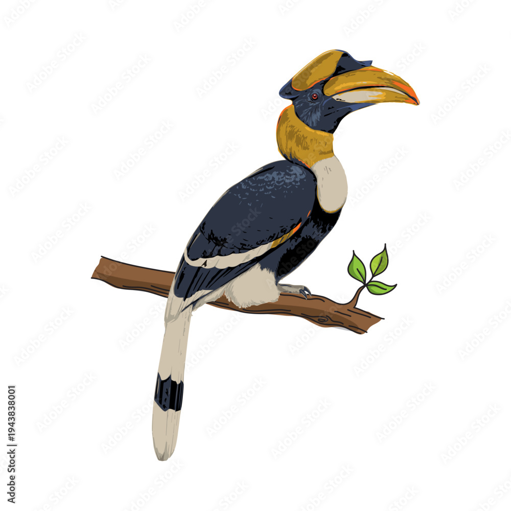 Fototapeta premium Hornbill perched on a branch, vector.