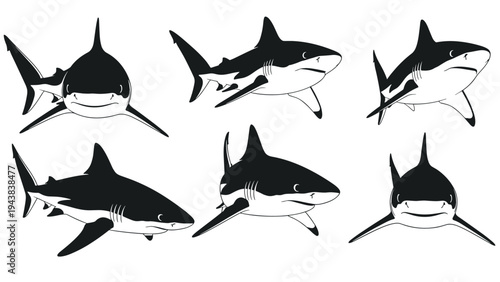 Collection of various shark silhouettes depicted from different swimming perspectives and angles for marine life design projects.