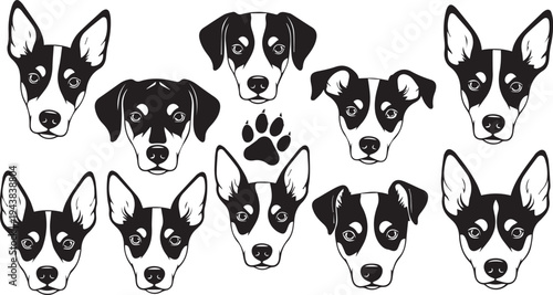 Set of 9 dog faces vector illustrations