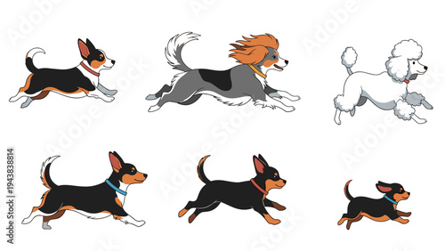 Collection of various dog breeds depicted in a running or galloping pose showing energy, speed, and playful movement.
