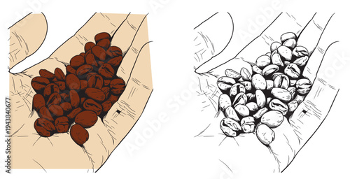 Coffee set graphic color isolated sketch illustration vector. Coffee beans in Hands. Art colorful design element